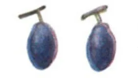2 plums
