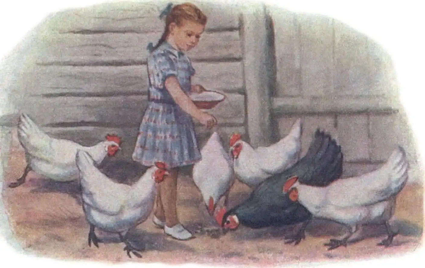 Girl and 6 hens