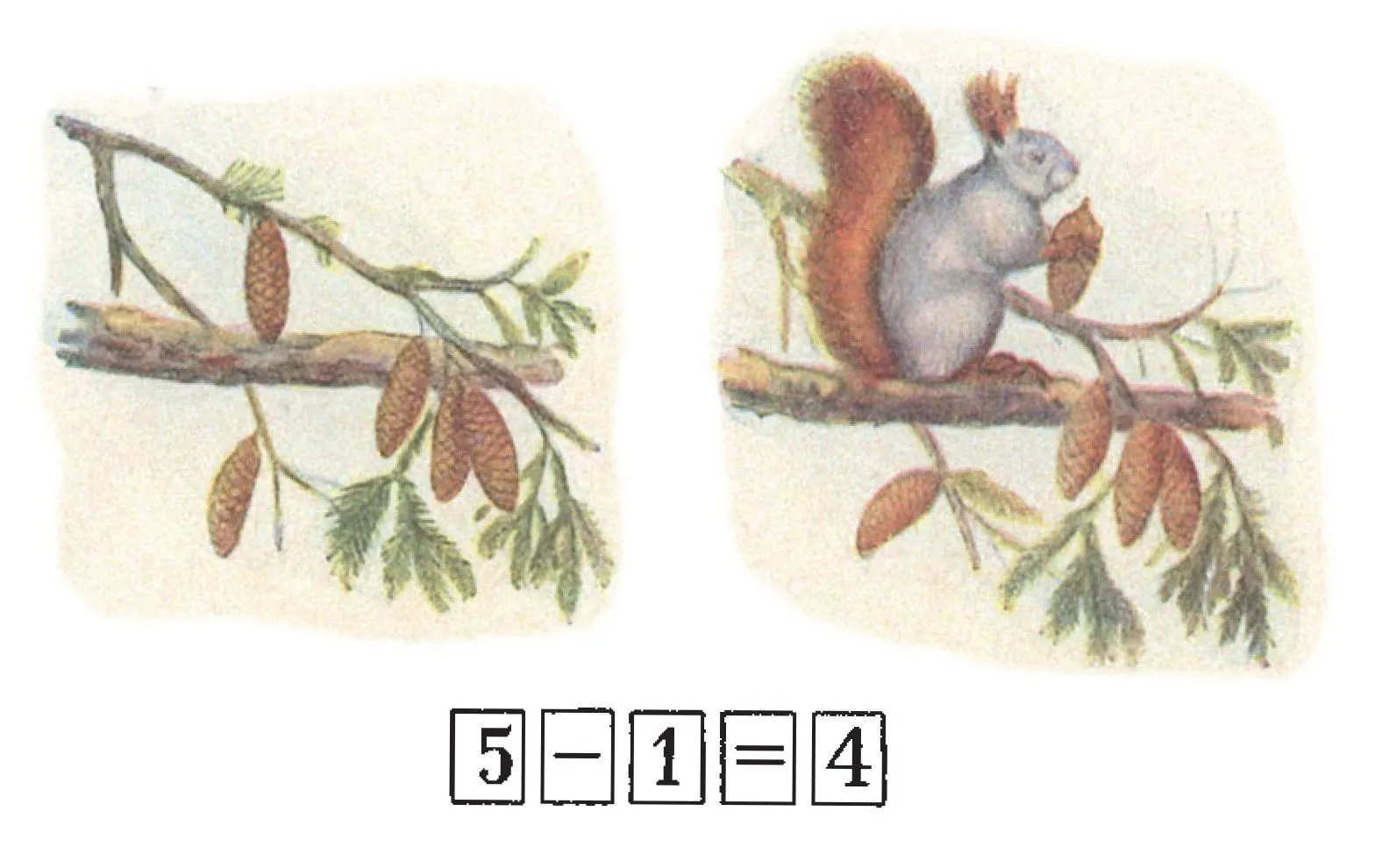 Squirrel and acorns
