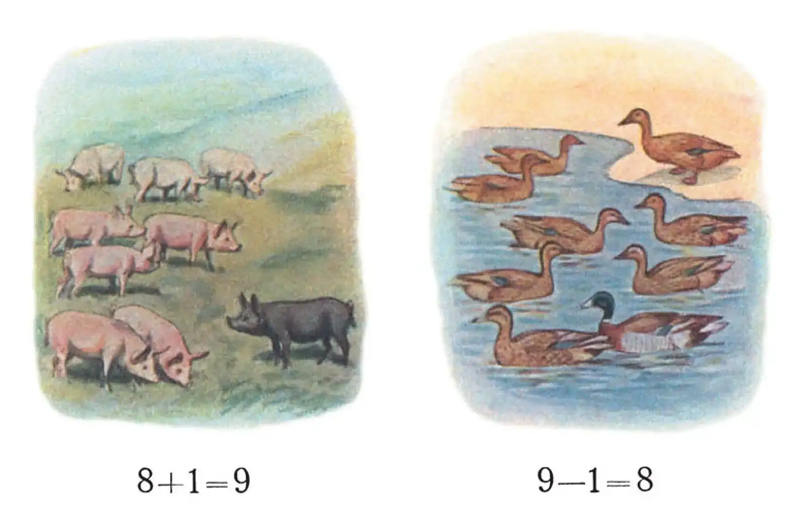 9 pigs and 9 ducks